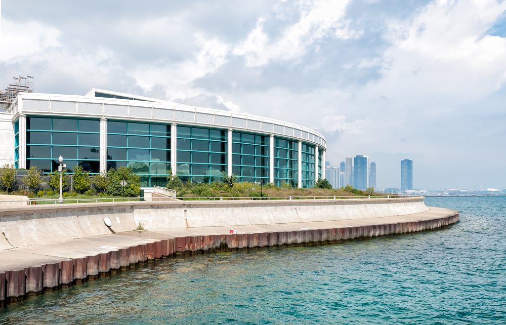 Shedd aquarium